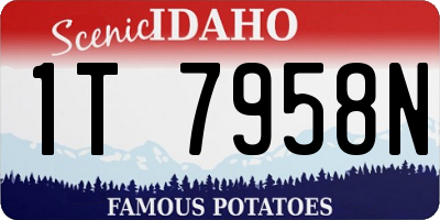 ID license plate 1T7958N