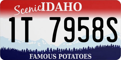ID license plate 1T7958S
