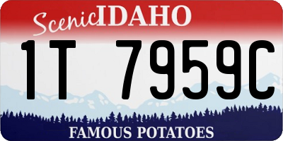 ID license plate 1T7959C
