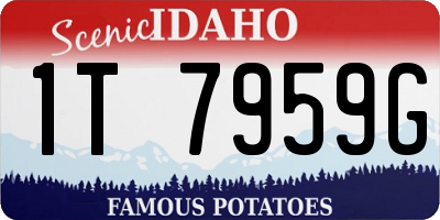 ID license plate 1T7959G