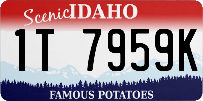 ID license plate 1T7959K