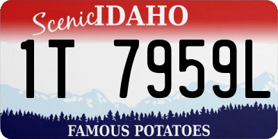 ID license plate 1T7959L
