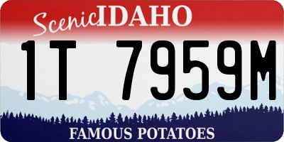 ID license plate 1T7959M