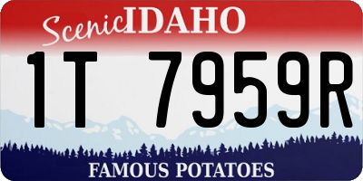 ID license plate 1T7959R
