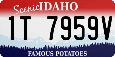 ID license plate 1T7959V