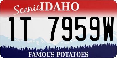 ID license plate 1T7959W