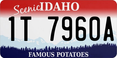 ID license plate 1T7960A