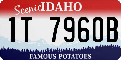 ID license plate 1T7960B