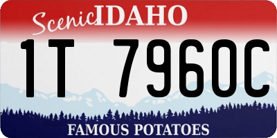 ID license plate 1T7960C