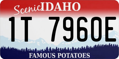ID license plate 1T7960E