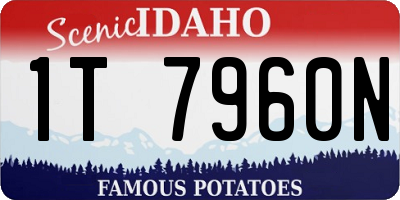 ID license plate 1T7960N