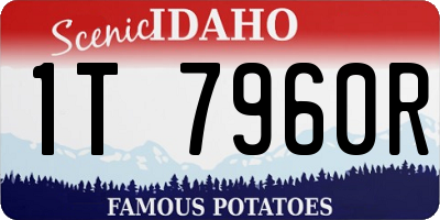 ID license plate 1T7960R