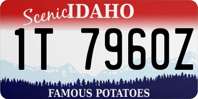 ID license plate 1T7960Z