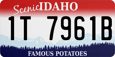 ID license plate 1T7961B