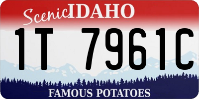 ID license plate 1T7961C