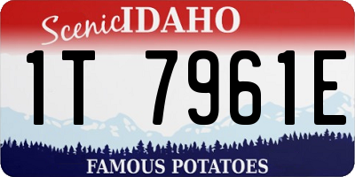 ID license plate 1T7961E