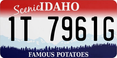 ID license plate 1T7961G