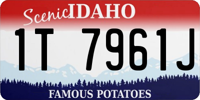 ID license plate 1T7961J