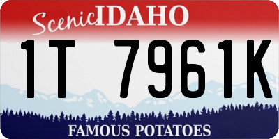 ID license plate 1T7961K