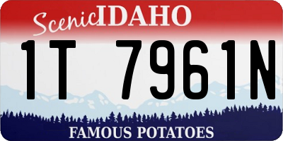 ID license plate 1T7961N