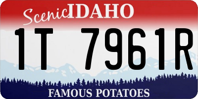ID license plate 1T7961R