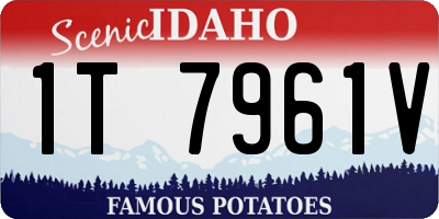 ID license plate 1T7961V
