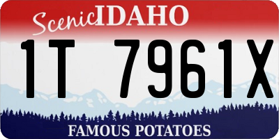 ID license plate 1T7961X