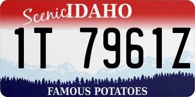 ID license plate 1T7961Z