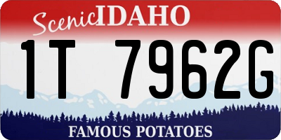 ID license plate 1T7962G