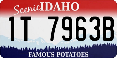 ID license plate 1T7963B