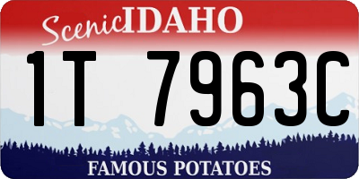 ID license plate 1T7963C