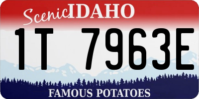 ID license plate 1T7963E