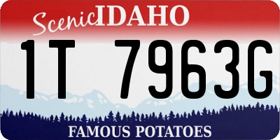 ID license plate 1T7963G