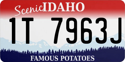 ID license plate 1T7963J