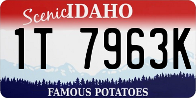 ID license plate 1T7963K