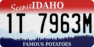 ID license plate 1T7963M