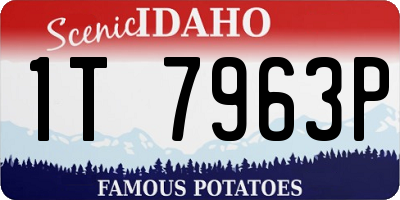 ID license plate 1T7963P