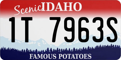 ID license plate 1T7963S