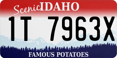 ID license plate 1T7963X