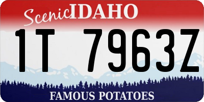 ID license plate 1T7963Z