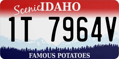 ID license plate 1T7964V