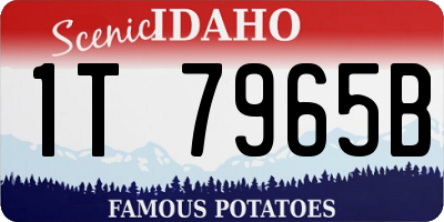 ID license plate 1T7965B
