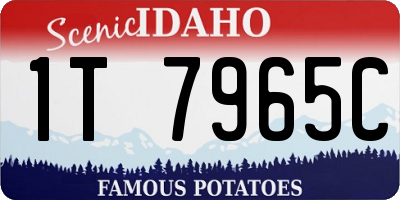 ID license plate 1T7965C