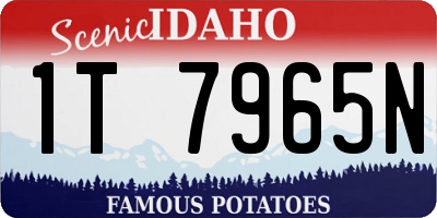 ID license plate 1T7965N