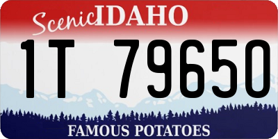 ID license plate 1T7965O