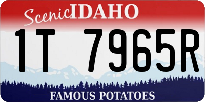 ID license plate 1T7965R