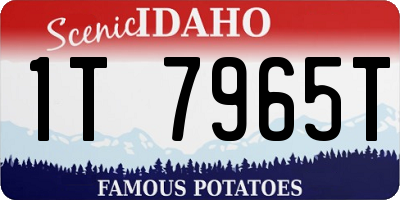 ID license plate 1T7965T