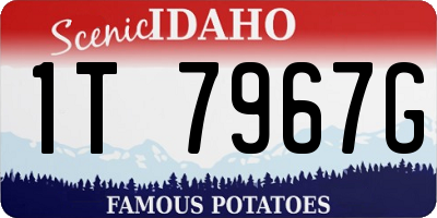ID license plate 1T7967G