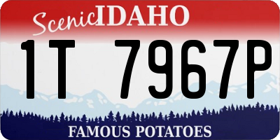 ID license plate 1T7967P