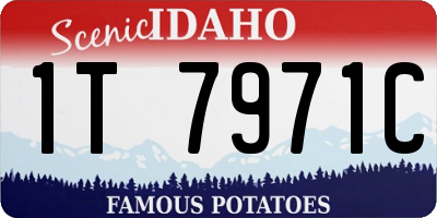 ID license plate 1T7971C